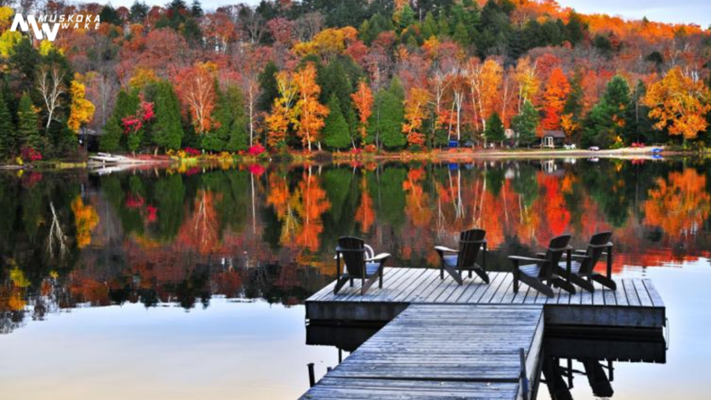 Muskoka wake dock